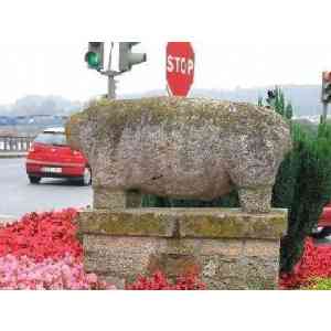 Click para ampliar. Pulsa en el nombre para ver la ficha. Verraco Pontedeume 2